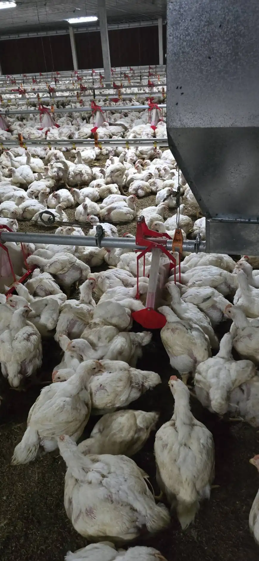 line_oa_chat_251223_161020_group_1