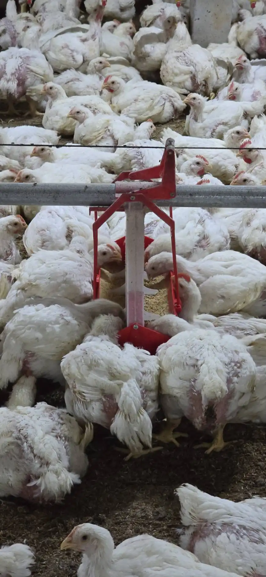 line_oa_chat_251223_161020_group_2