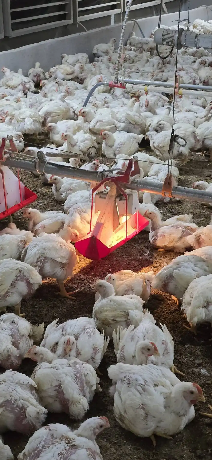 line_oa_chat_251223_161020_group_4